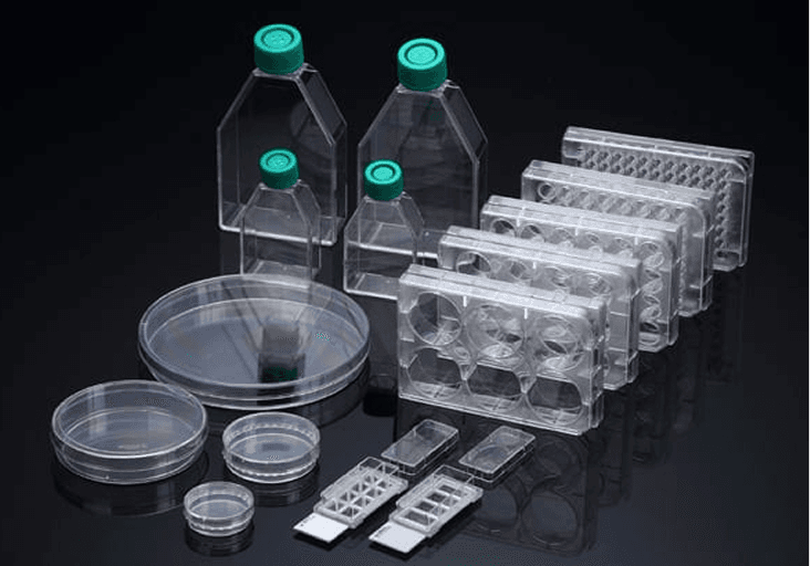 Cell Culture Plates & Flasks